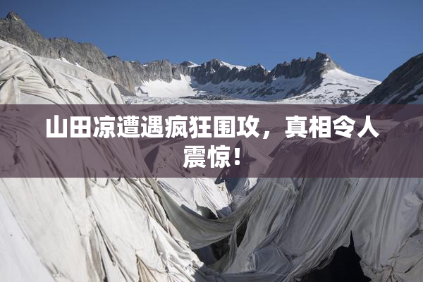 山田凉遭遇疯狂围攻，真相令人震惊！