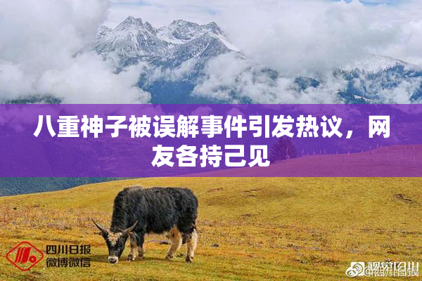 八重神子被误解事件引发热议，网友各持己见