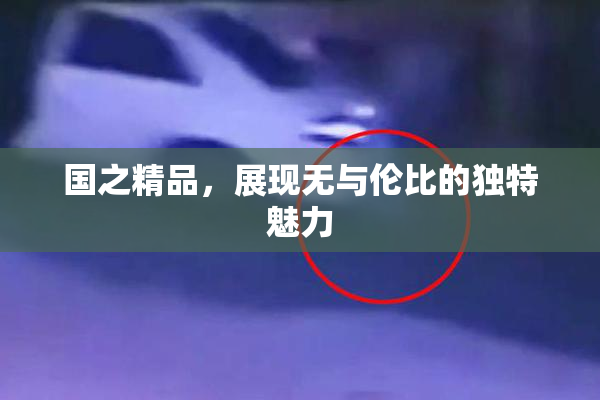 国之精品，展现无与伦比的独特魅力