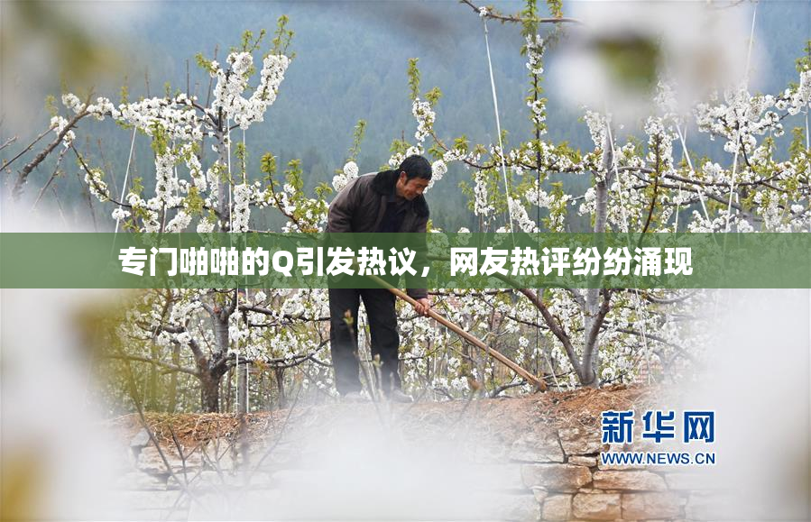 专门啪啪的Q引发热议，网友热评纷纷涌现