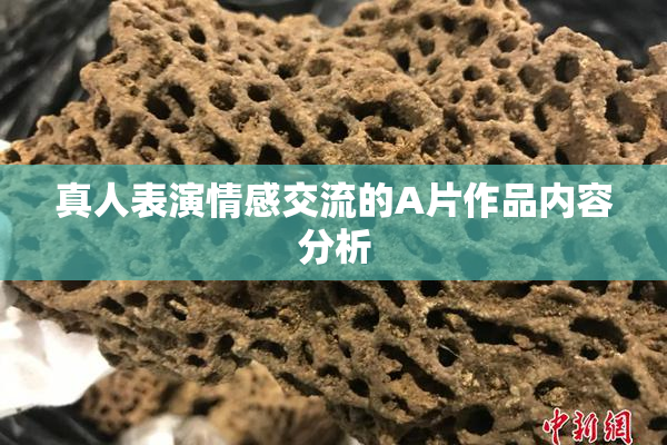 真人表演情感交流的A片作品内容分析