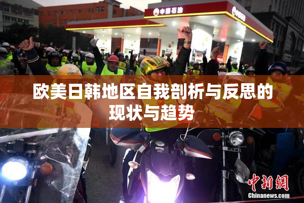 欧美日韩地区自我剖析与反思的现状与趋势