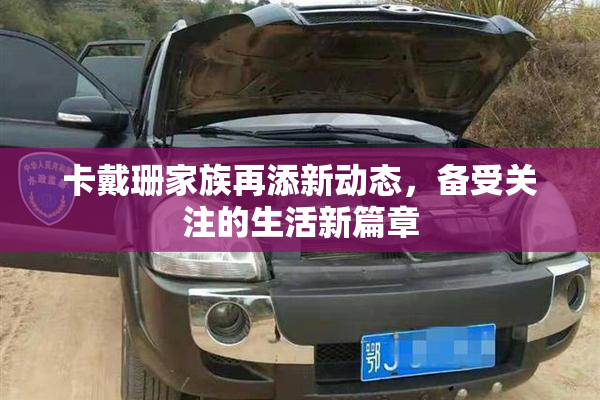 卡戴珊家族再添新动态，备受关注的生活新篇章