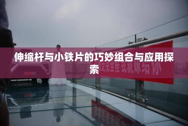 伸缩杆与小铁片的巧妙组合与应用探索