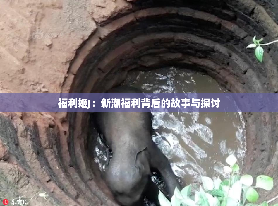 福利姬J：新潮福利背后的故事与探讨