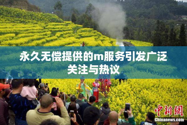 永久无偿提供的m服务引发广泛关注与热议