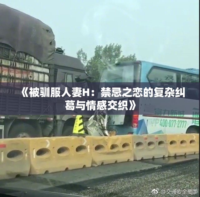 《被驯服人妻H：禁忌之恋的复杂纠葛与情感交织》