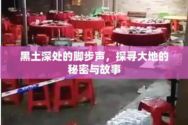 黑土深处的脚步声，探寻大地的秘密与故事