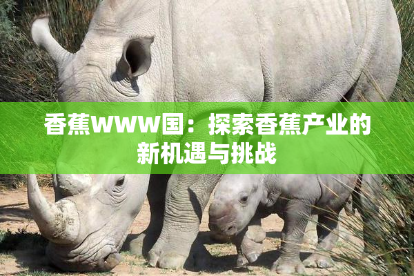香蕉WWW国：探索香蕉产业的新机遇与挑战