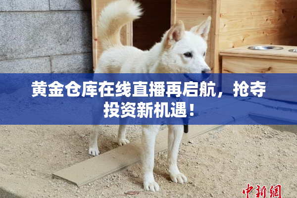 黄金仓库在线直播再启航，抢夺投资新机遇！