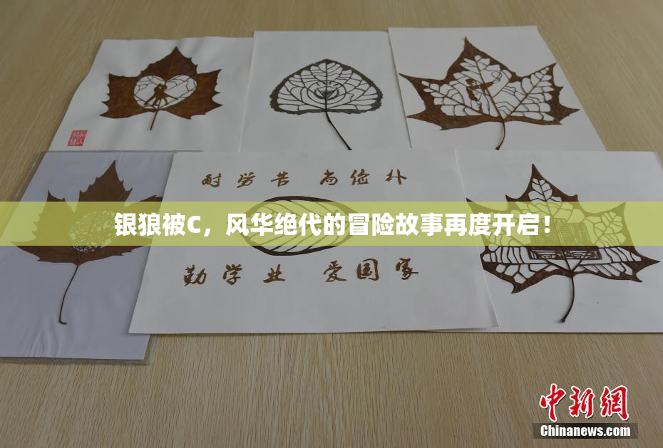 银狼被C，风华绝代的冒险故事再度开启！
