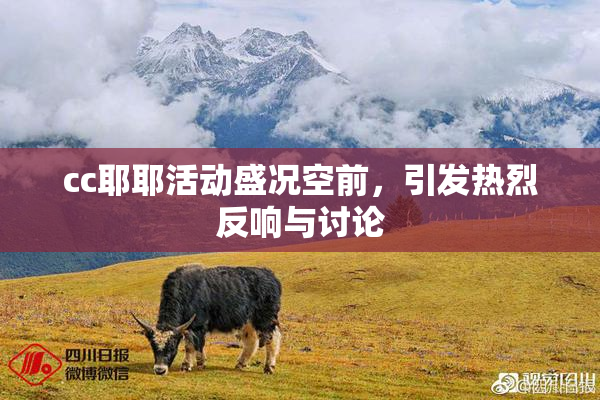 cc耶耶活动盛况空前，引发热烈反响与讨论