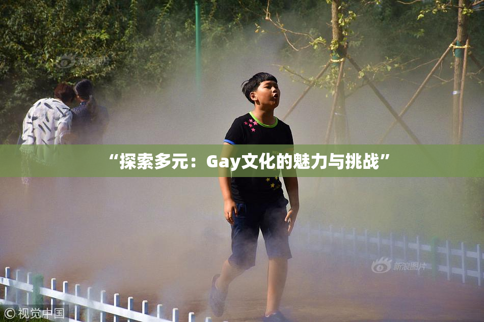 “探索多元：Gay文化的魅力与挑战”