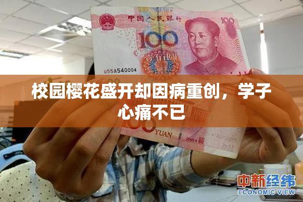 校园樱花盛开却因病重创，学子心痛不已