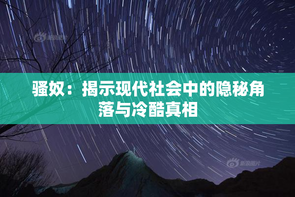 骚奴：揭示现代社会中的隐秘角落与冷酷真相