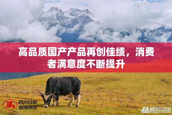 高品质国产产品再创佳绩，消费者满意度不断提升