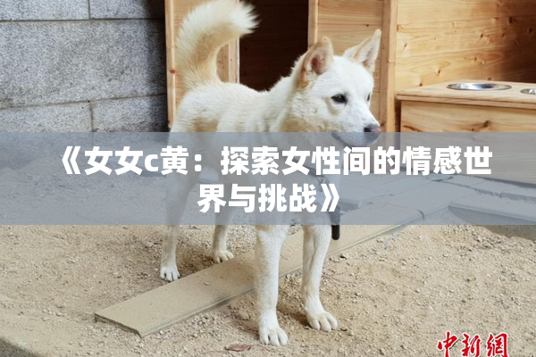 《女女c黄：探索女性间的情感世界与挑战》