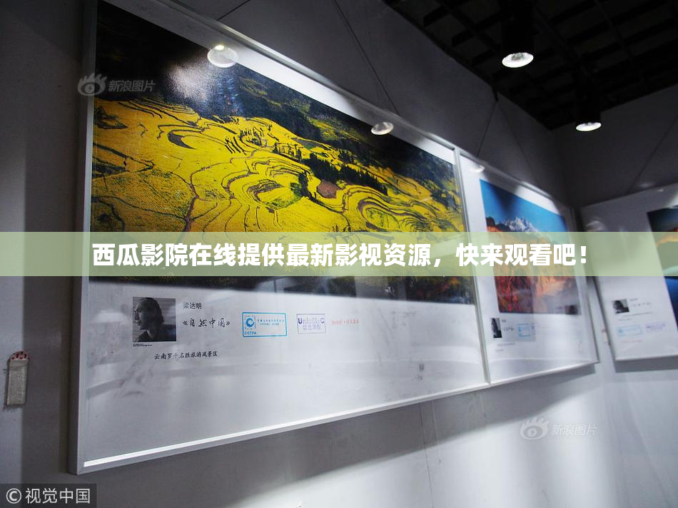 西瓜影院在线提供最新影视资源，快来观看吧！