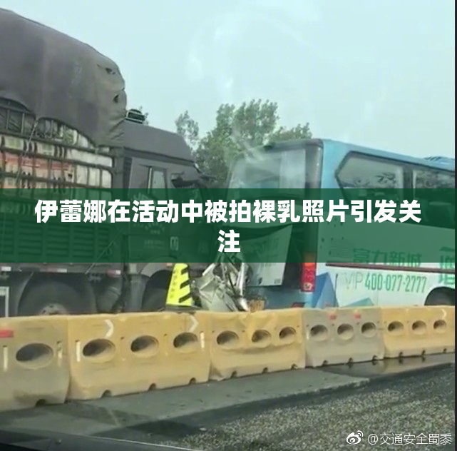 伊蕾娜在活动中被拍裸乳照片引发关注