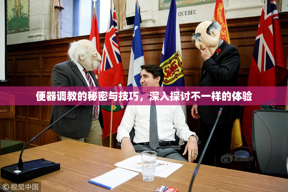 便器调教的秘密与技巧，深入探讨不一样的体验
