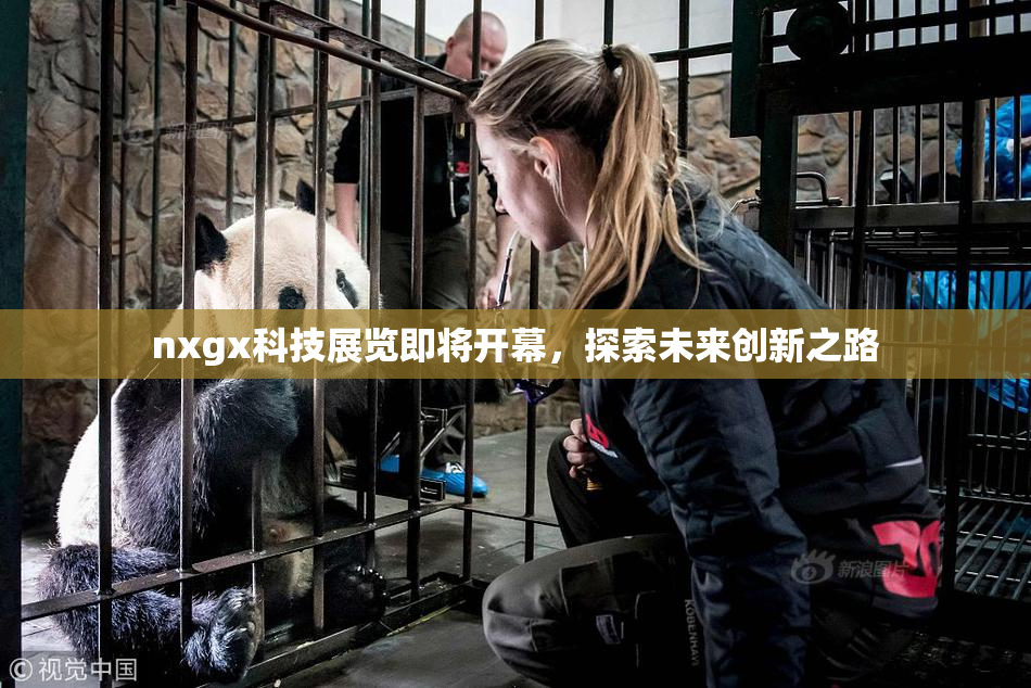 nxgx科技展览即将开幕，探索未来创新之路