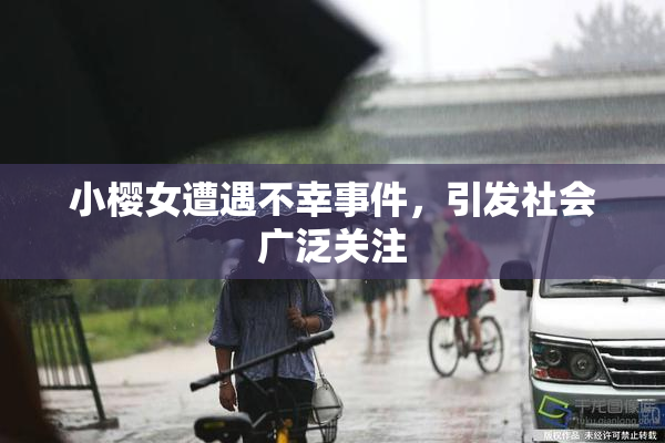 小樱女遭遇不幸事件，引发社会广泛关注
