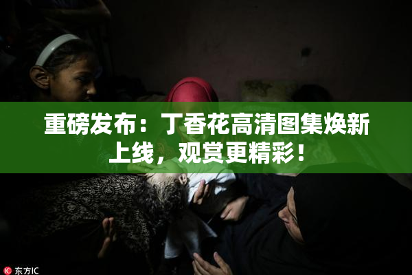 重磅发布：丁香花高清图集焕新上线，观赏更精彩！