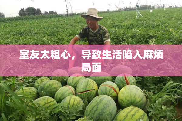 室友太粗心，导致生活陷入麻烦局面