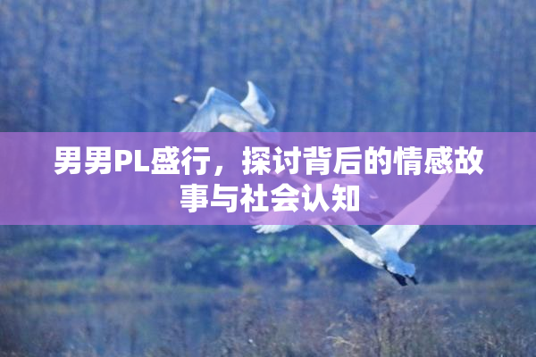 男男PL盛行，探讨背后的情感故事与社会认知