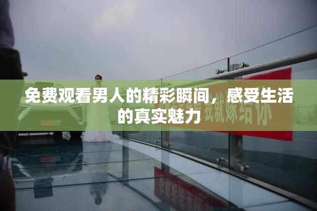 免费观看男人的精彩瞬间，感受生活的真实魅力