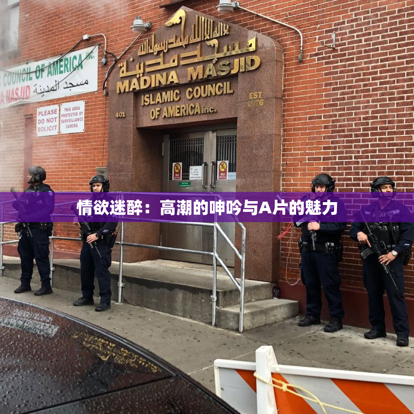 情欲迷醉：高潮的呻吟与A片的魅力