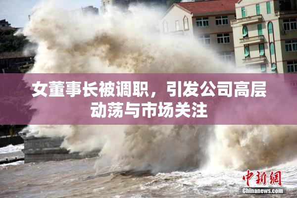女董事长被调职，引发公司高层动荡与市场关注