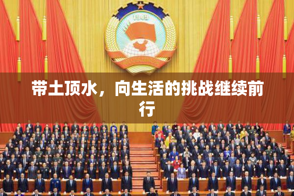 带土顶水，向生活的挑战继续前行