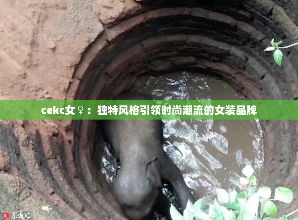 cekc女♀：独特风格引领时尚潮流的女装品牌