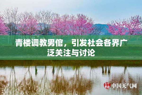 青楼调教男倌，引发社会各界广泛关注与讨论