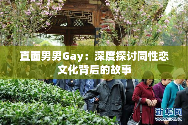 直面男男Gay：深度探讨同性恋文化背后的故事