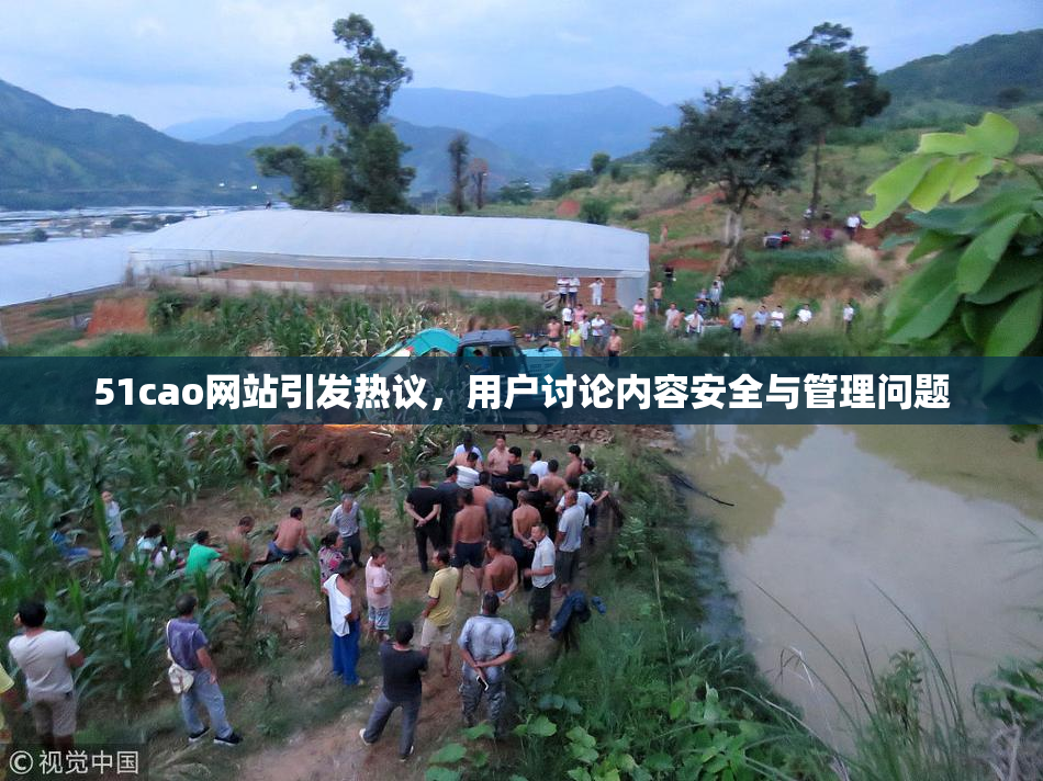 51cao网站引发热议，用户讨论内容安全与管理问题