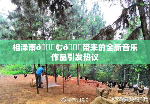 相泽南😚む🍍带来的全新音乐作品引发热议