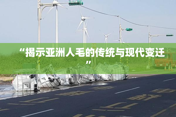“揭示亚洲人毛的传统与现代变迁”