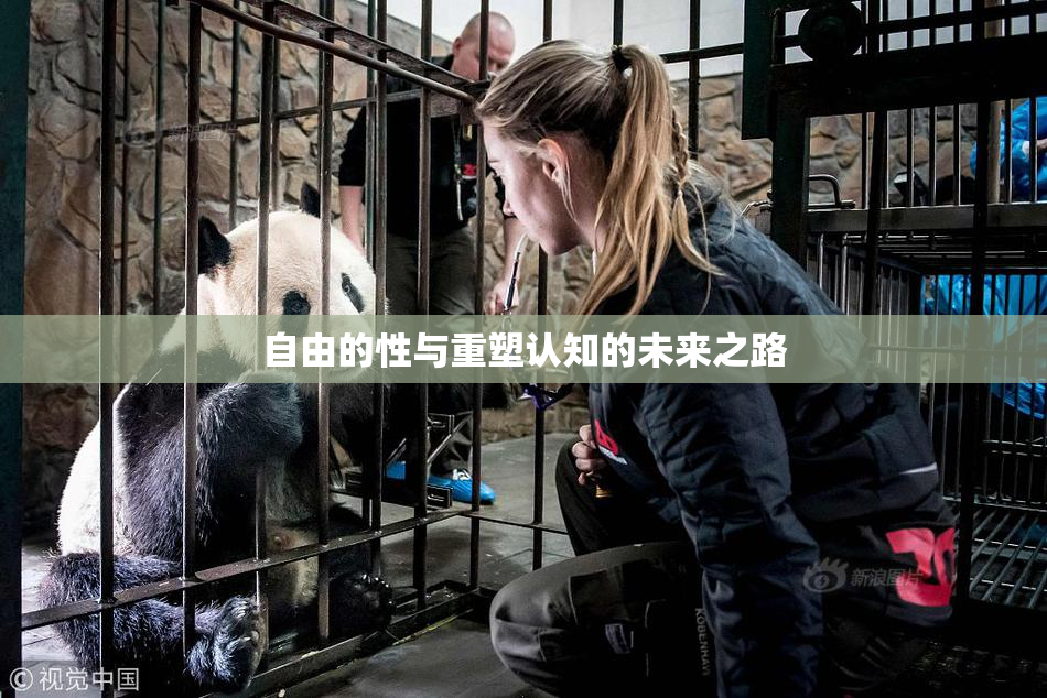 自由的性与重塑认知的未来之路