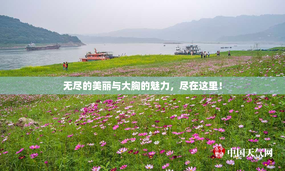 无尽的美丽与大胸的魅力，尽在这里！