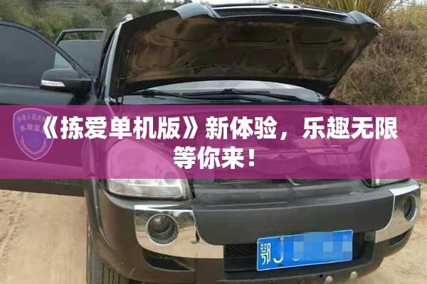 《拣爱单机版》新体验，乐趣无限等你来！