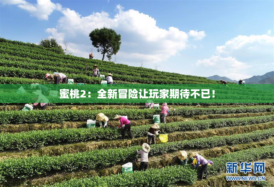 蜜桃2：全新冒险让玩家期待不已！