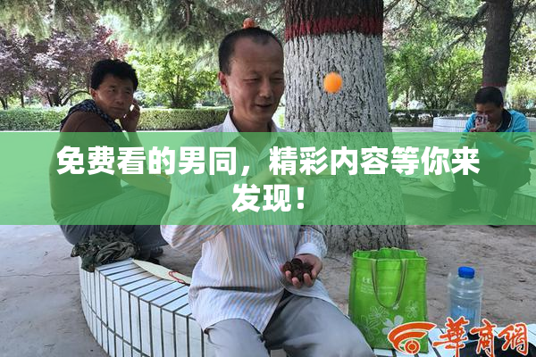 免费看的男同，精彩内容等你来发现！