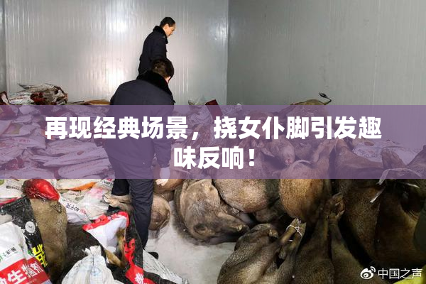 再现经典场景，挠女仆脚引发趣味反响！