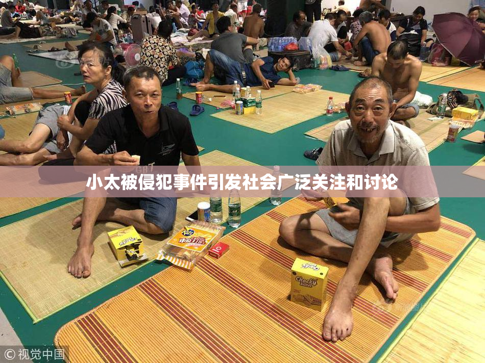 小太被侵犯事件引发社会广泛关注和讨论