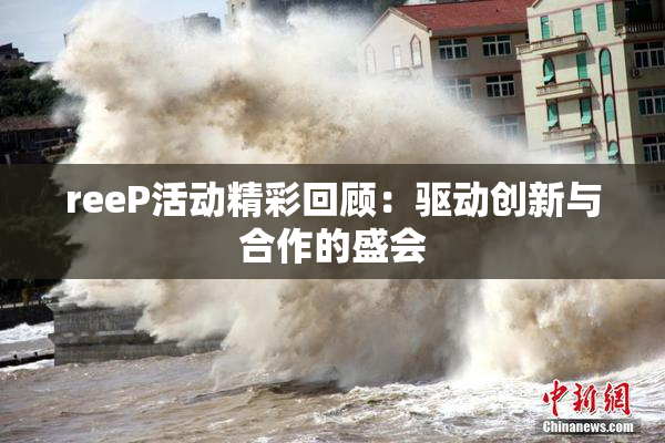 reeP活动精彩回顾：驱动创新与合作的盛会