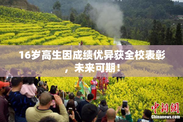 16岁高生因成绩优异获全校表彰，未来可期！