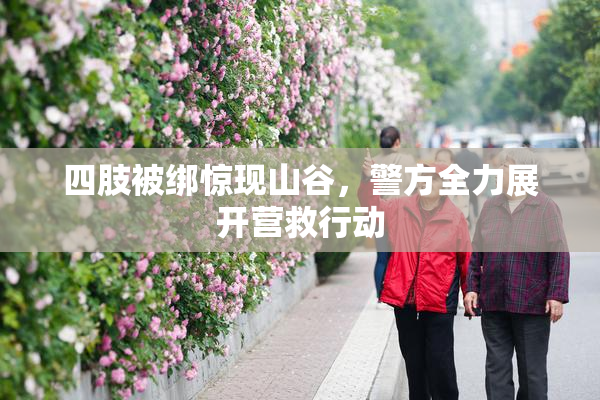 四肢被绑惊现山谷，警方全力展开营救行动