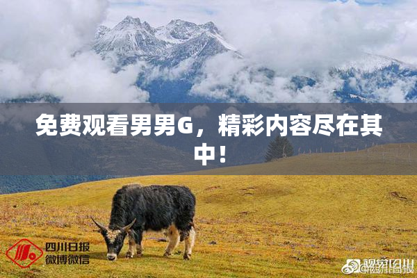 免费观看男男G，精彩内容尽在其中！